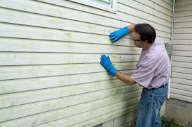 Best Aluminum Siding Installation  in Rineyville, KY